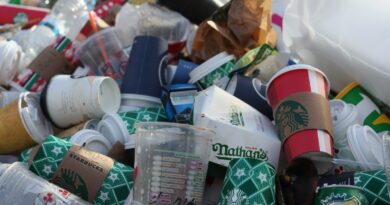 Müllreduktion für Einsteiger: Erste Schritte in ein umweltbewusstes Leben