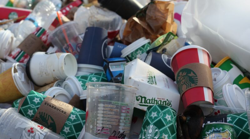 Müllreduktion für Einsteiger: Erste Schritte in ein umweltbewusstes Leben
