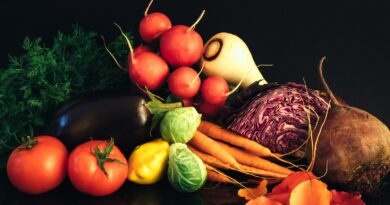Ernährung im Herbst: Gesund durch die kalte Jahreszeit mit regionalen Produkten