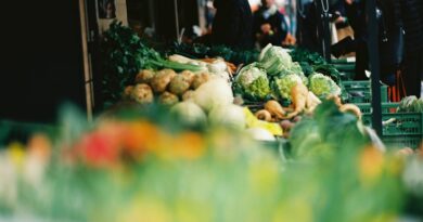 Regionale Lebensmittel: Woher bekommt man sie und was sind die Vorteile?