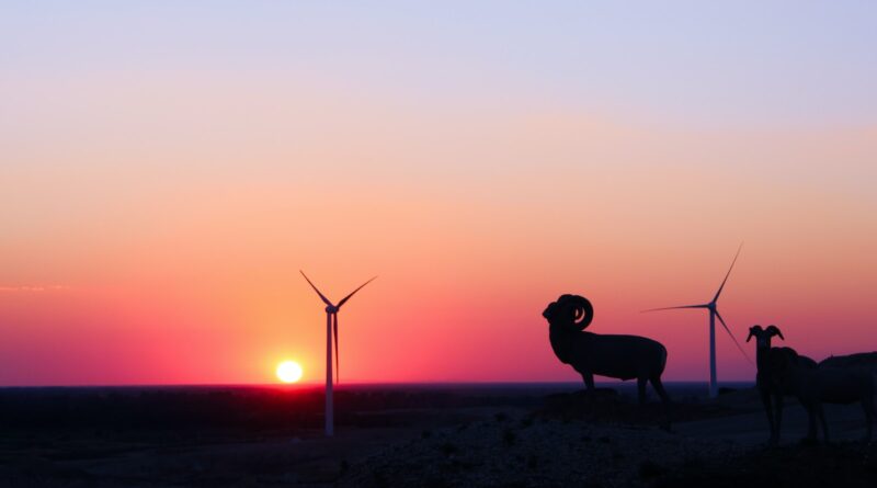 Auswirkungen von Windkraftanlagen auf Wildtiere: Ein umfassender Überblick
