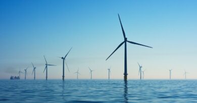 Windenergie: Die Kraft des Windes zur Stromerzeugung nutzen