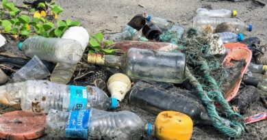Upcycling von Plastik: Nachhaltige Projekte zur Reduzierung von Plastikmüll